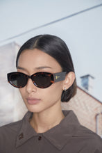 Load image into Gallery viewer, THE DAX SHALS HAVANA