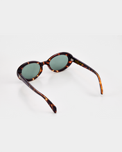 Load image into Gallery viewer, THE ANA SHALS TORTOISE