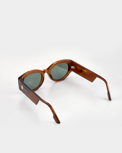 Load image into Gallery viewer, THE DAX SHALS BRONZE