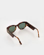 Load image into Gallery viewer, THE DAX SHALS HAVANA