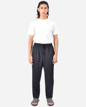Load image into Gallery viewer, THEO PANTS IN BLACK